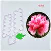 DIY molde uma peça diy rosa impressão cravo peônia flor corte molde bolo molde plástico