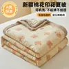 Colcha de Verão Colcha de Ar Condicionado 2025 Novo Estilo Colcha Fresca de Verão Tamanho Duplo Lavável à Máquina Colcha de Verão Quarto de Estudante Solteiro Colcha de Presente