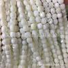 Cuentas sueltas de fritilaria de aguas profundas, cuentas de barril con forma de herradura, cuentas para pulseras, accesorios de cuentas para bricolaje, fabricantes de materiales al por mayor