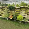 Arreglos de Plantas Grandes para Paisajismo, Decoraciones Florales de Jardín, Conjuntos de Paisajismo para Esquinas de Hoteles y Restaurantes, Manojos de Cañaveral Real