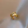 Aretes de Clip Sin Perforaciones 2025 Nuevo Diseño de Nicho Pendientes de Alta Gama para Mujer Geométricos Estilo Lujo Ligero Sin Perforaciones