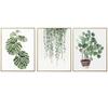 Aleación de Aluminio Escandinavo Simple Sala de Estar Pintura Decorativa Comedor Dormitorio Pequeño Fresco Pintura Colgante Mural de Entrada Pintura Mural Plantas Verdes