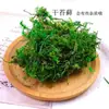 Kit de Material de Flor Seca Espécime Jardim de Infância DIY Quadro de Bolota com Flor Seca Espécime Quadro de Pinha Artesanato DIY