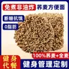 Fideos de Trigo Sarraceno 0 Grasa Integral Grano Entero Alimento Básico Control de Grasa Sustituto de Comida Fideos de Konjac Fideos de Trigo Sarraceno Snacks
