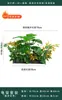 Flores Artificiais Plantas Verdes Conjunto de Divisória Decorativa Flores de Plástico e Seda Decoração de Paisagismo Arranjo de Paisagem Exibição de Janela Interna