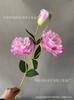 Flor Eustoma de 3 cabeças casamento decoração de casamento decoração de flores ornamentos de sala de estar adereços para fotos flores artificiais macias para casa