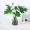 Plantas Hidropónicas Pluma de Primavera Filodendro en Maceta Interior Lluvia de Primavera Plantas Verdes Potos Perenne Cultivo en Agua Bueno Estilo de Escritorio Ins