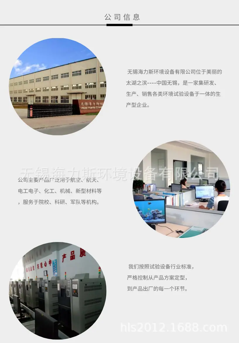 公司介绍