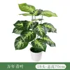 Paisajismo Simulado de Plantas Verdes Transfronterizo, Muro Vegetal de Eucalipto, Decoración de Arreglos Florales, Hojas Pequeñas, Accesorios para Muros Vegetales de Plantas Verdes Artificiales