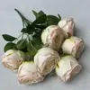 Ramo Simulado de 7 Cabezas de Rosa Imperial Artificiales, Ramo de Rosas Artificiales de Tela Cepillada para Decoración del Hogar y del Hotel