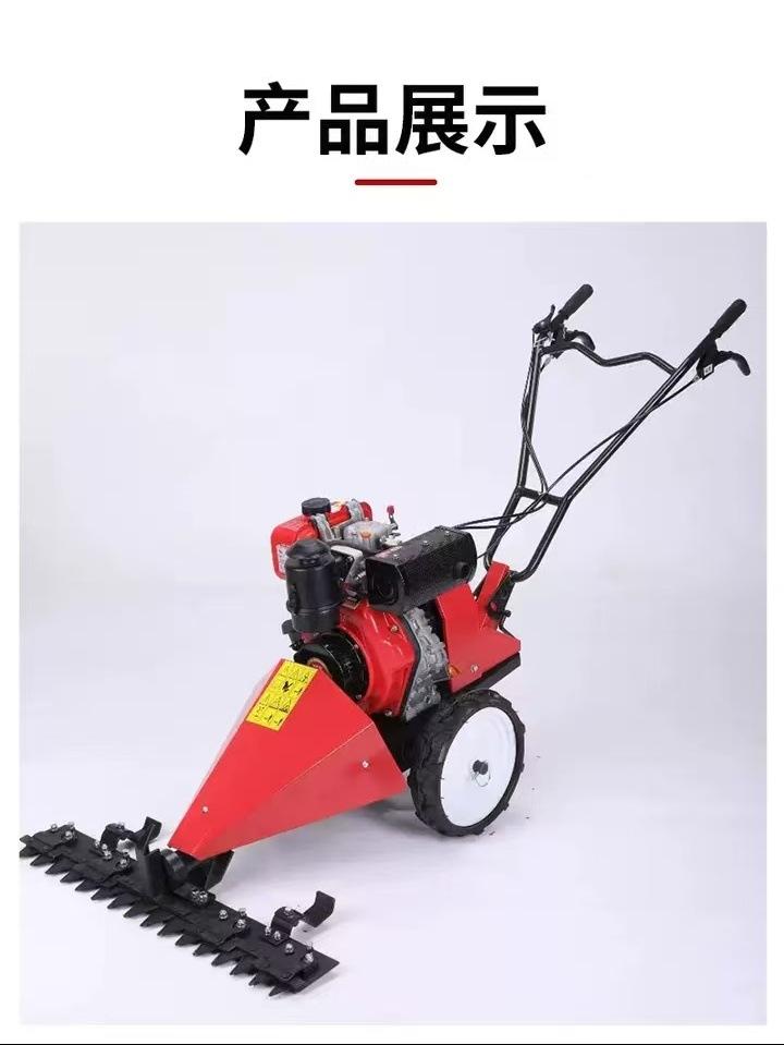 微信图片_20250719104834.jpg
