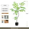 Planta de simulación Nandina domestica de pie en maceta para interior, grande, biónica, verde, adornos, sala de estar, lujo ligero, flor decorativa, árbol falso