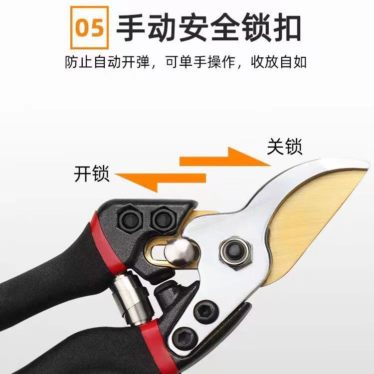 详情-05.jpg