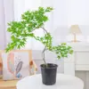 Plantas de interior de escritorio Liuchuanfeng para salas de té, plantas verdes de inspiración zen, bonsáis de nuevo estilo chino, plantas en maceta decorativas para vestíbulos y oficinas