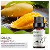 Exportación Transfronteriza Aceite Esencial Individual Fragancia Aromaterapia Masaje Aceite Esencial Sándalo Difusor Mayoreo Muestra de 10 ml