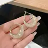Brincos estilo palácio leve luxo ouro seda malha cristal gota brincos elegante personalizado brincos círculo de design
