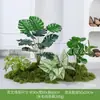 Série de Nomes de Três PalavrasConjunto de Paisagismo de Planta Verde Artificial, Combinação de Jardim de Plantas Falsas, Paisagismo Decorativo para Melhorar a Atmosfera