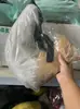 Orelha de besta de pelúcia grande feita à mão cauda de besta acessórios de joias para cosplay cauda de raposa Cauda de Lobo acessórios de cauda de gato