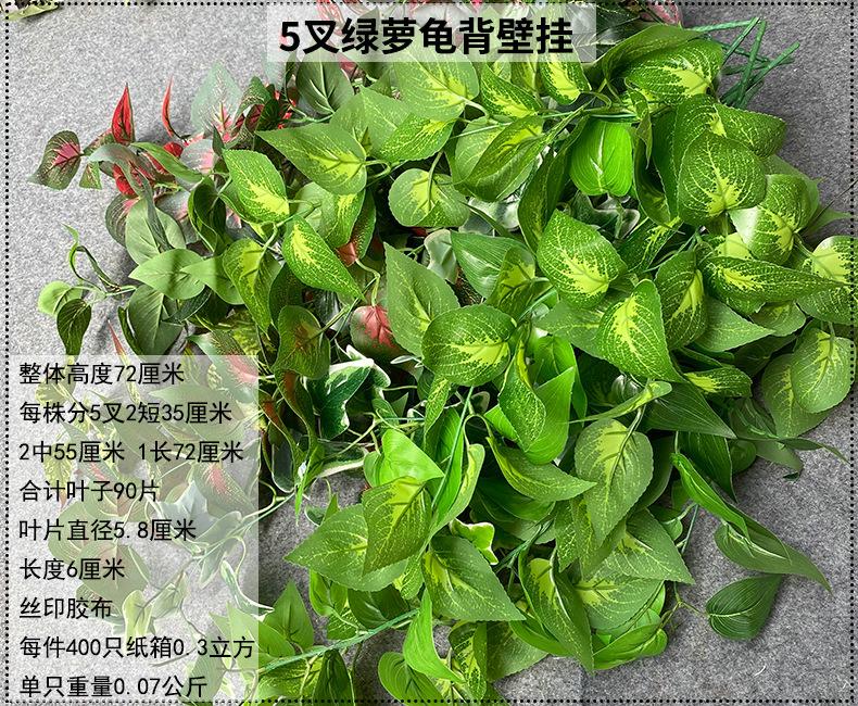 产品信息图-1.jpg