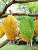 Modelo de Almohada Dorada de Durian Fruta Plástica Falsa Decoración de Exhibición de Tienda de Durian Adorno Colgante Atrezo para Fotografía