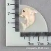 Accesorios de Material de Delfín Funda para Teléfono Móvil Zapatos con Agujero DIY Parche Marino Accesorios de Resina Cabezal de Pegamento Crema Accesorios para el Cabello