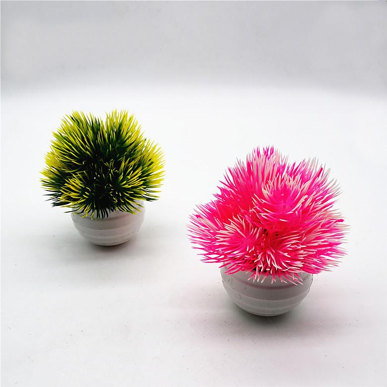 IMG_20220301_152723_副本