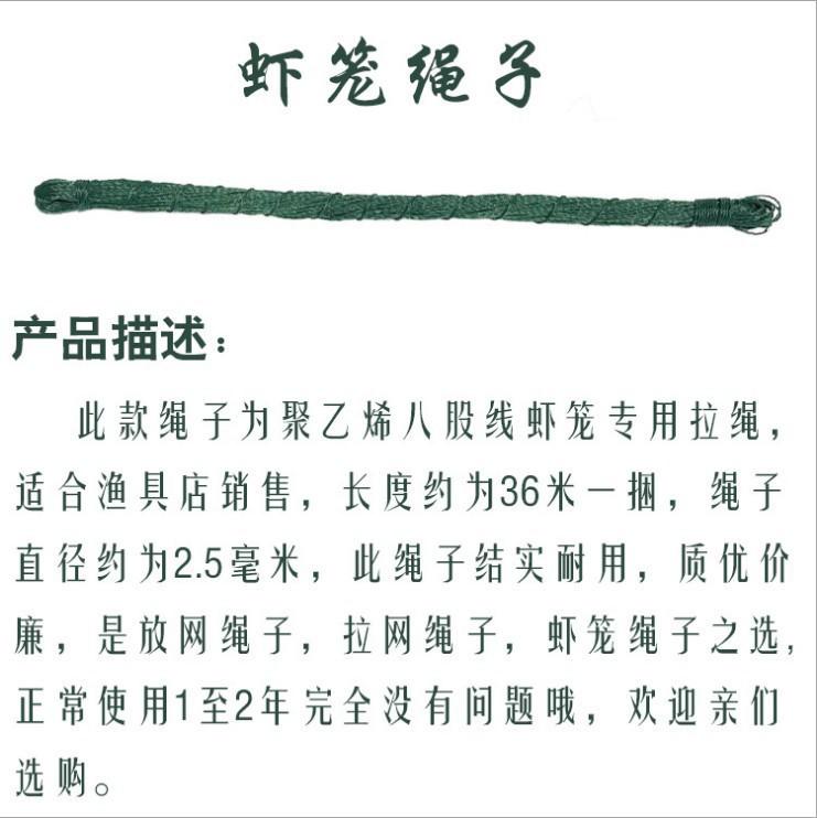 Z5.jpg