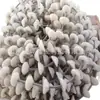 Suministro Directo de Fábrica de Discos para Transportadores de Cadena Tubular, Resistentes al Desgaste, Resistentes a la Corrosión, de Alta Dureza, Tenacidad Mejorada y Discos de Fibra de Vidrio POM