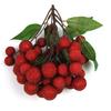 Simulación guirnalda de frutas espuma ojo de dragón longan lichi arándano cereza accesorios de fruta falsa accesorios de rodaje