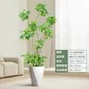Forma Pie de Pato Madera Sala de Estar Maceta Grande Planta Verde Interior Sala de Estar Grande de Pie Flor Real Pila Vieja Pie de Pato Madera