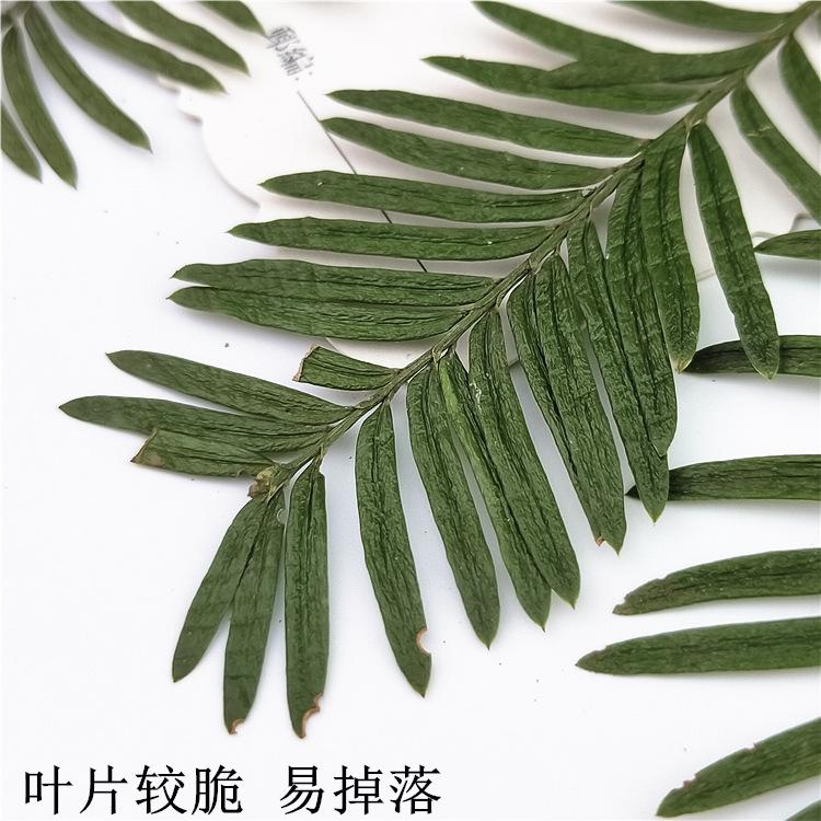 IMG20190216160817.jpg