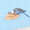 Juguetes para Loros Juguetes para Pájaros Plataformas para Posarse Juguetes de Tirar Clavijas de Tirar Juguetes Divertidos Juguetes Educativos Venta al por Mayor Transfronteriza