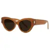 Gafas de Sol Negras Estilo Ojo de Gato Tendencia Xiaohongshu para Mujer, Elegantes para Fotografía Callejera, Gafas de Sol Coreanas de Lujo Ligero con Textura