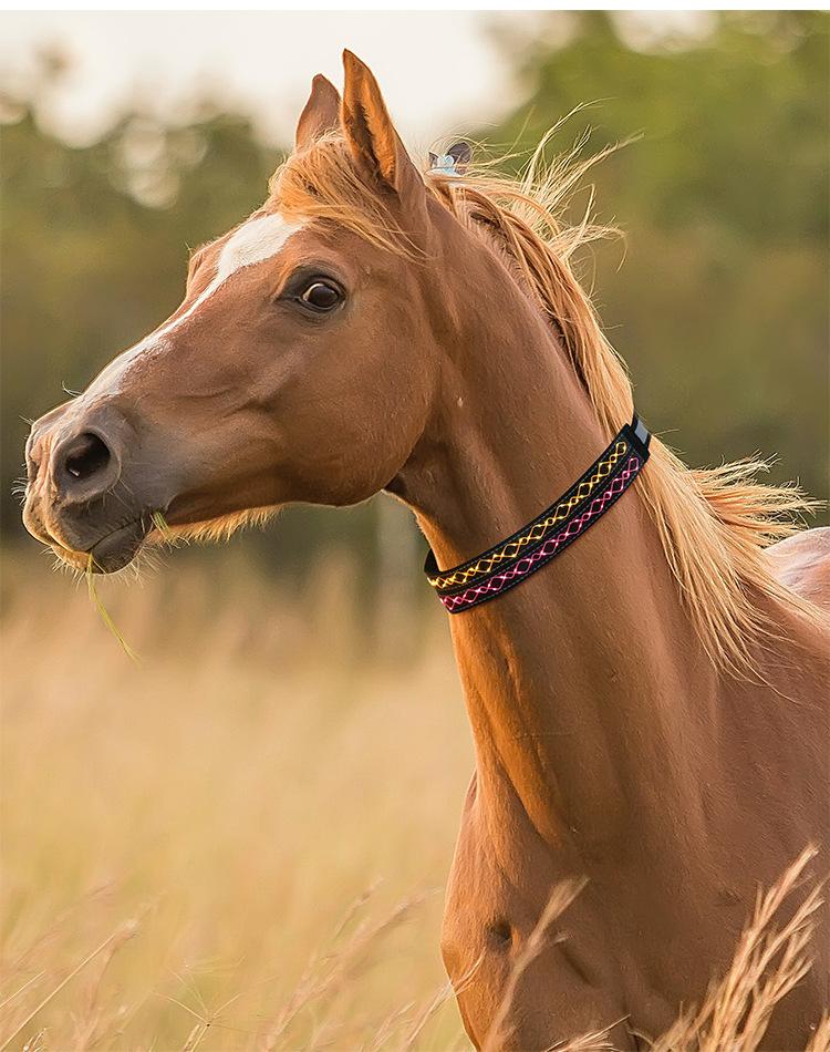 K4002-LED绳绣马脖 (9).jpg?x-oss-process=image/format,png