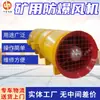 Ventilador à Prova de Explosão para Minas com Operação Simples Fbd Nº 5.6/11 Ventilador à Prova de Explosão Suporta Ventiladores de Ventilação para Minas Personalizados.