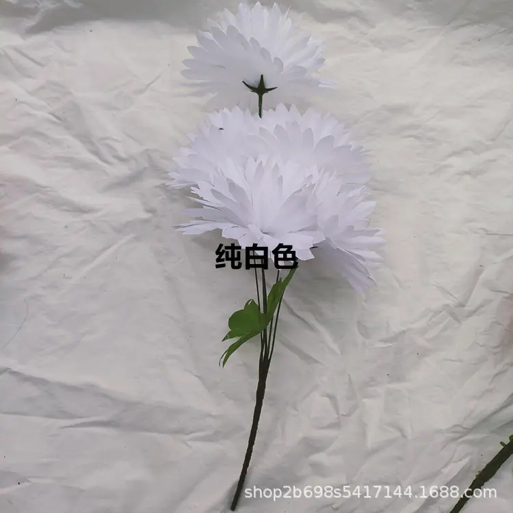 IMG20220427171106_副本.jpg