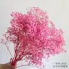 Nochevieja Flor Eterna Hierba Bigote de Dragón Material Paisaje Pino Penglai Día de Año Nuevo Colgante de Frijol Arroz Bienvenida de Boda Rosa Decoración del Hogar