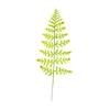 Helechos Simulados, Plantas Verdes de Plástico, Hojas de Helecho Persa, Helechos Cola de Fénix Dientes de Oveja, Arreglos Florales y Materiales, Hojas Falsas, Suministro Transfronterizo