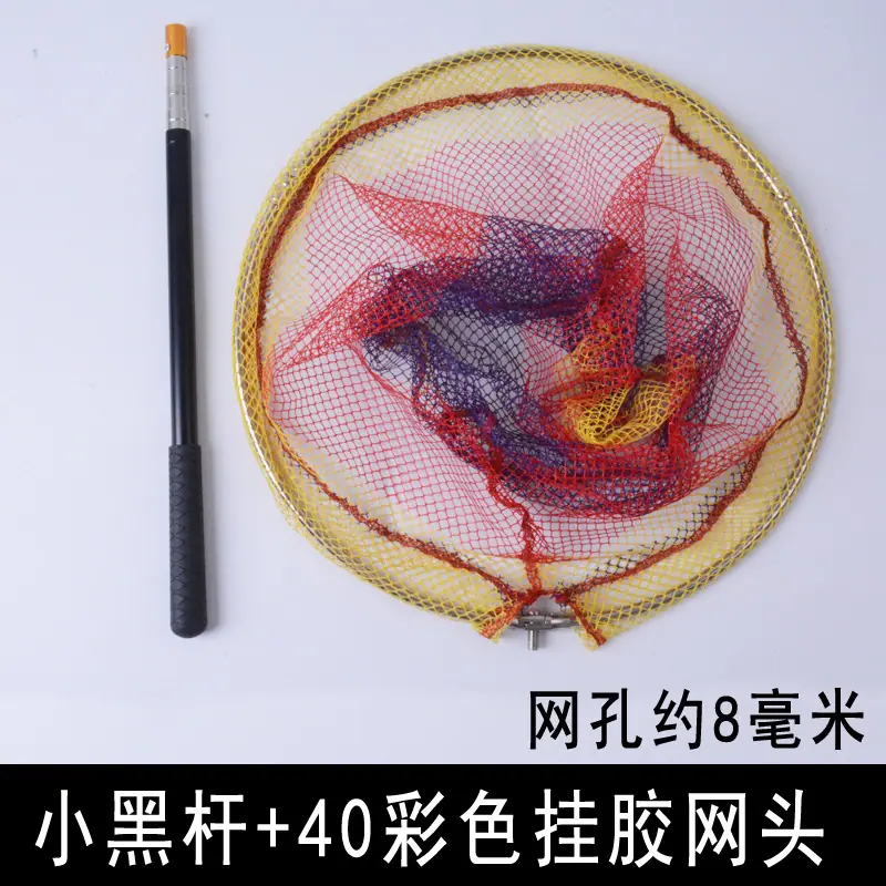 抄网头