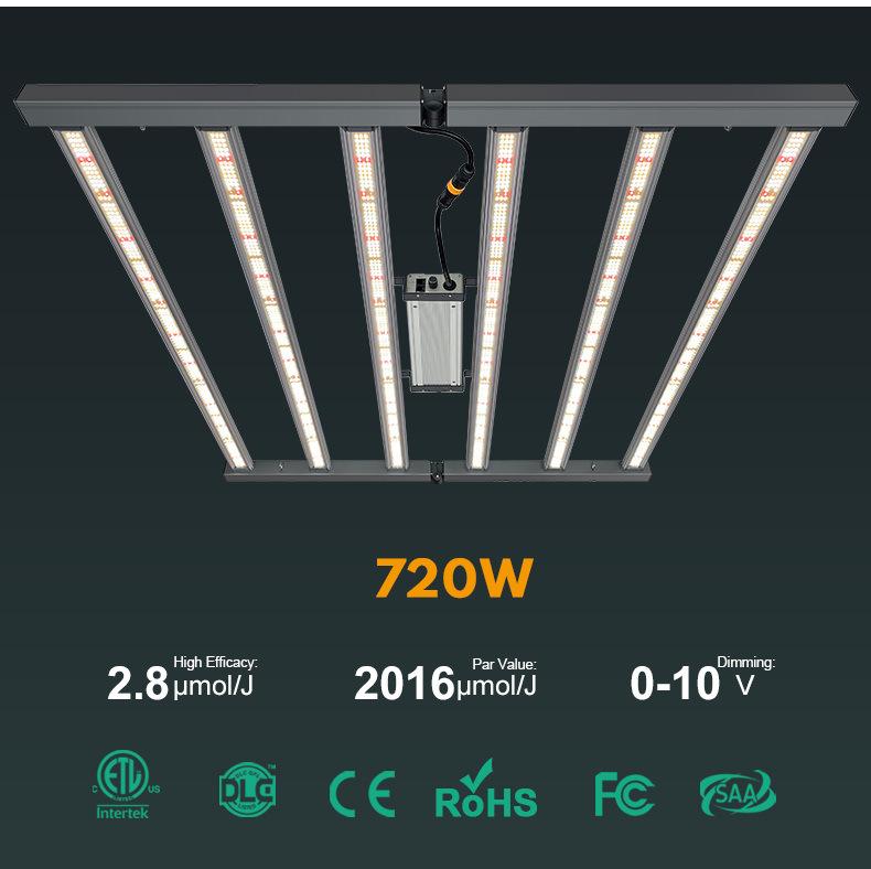 min720w-博亚1_06.jpg