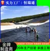 Tanque de Assentamento com Geomembrana Tanque de Armazenamento de Óleo Membrana Impermeável Uso em Aterro Sanitário Bacia de Rejeitos Geomembrana de Polietileno HDPE