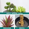Plantas Artificiales en Maceta Creativas Personalizadas, Plantas Verdes de Moda, Decoración de Bonsái para el Hogar, Plantas Artificiales en Maceta