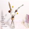 Ramo de flores secas de Yunnan con hojas de eucalipto inmortales, estilo nórdico, adornos decorativos para el hogar y la sala de estar, accesorios de tiro DIY.
