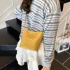 Bolsa Tecida com Padrão de Nicho da Moda para Mulheres, Nova Bolsa Transversal Versátil Primavera/Verão 2026, Bolsa Saco Simples e Moderna