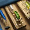 Soporte de Exhibición para Señuelos de Pesca Caja de Almacenamiento para Carretes de Pesca Caja de Exhibición Acrílica para Modelos de Señuelos Gabinete de Exhibición de Señuelos a Prueba de Polvo Transfronterizo