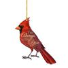 Nuevo Producto Transfronterizo Pájaro Rojo Acrílico Colgante para Coche Colgante para Mochila Hogar Decoraciones de San Valentín Navidad