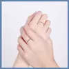 Anillo de Ferris wheel para pareja de infancia para mujer no se decolora plata de ley S925 diseño de nicho de alta gama anillo de pareja versátil