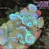 38 Cores Hani Étnico Lantejoulas de Concha Cauda de Sereia Escamas de Peixe Ornamentos Escamas de Sutiã Estilo Antigo Sessão de Fotos