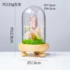 Columna de Cristal Natural Transfronteriza Flor Eterna Adorno de Tapa de Vidrio Prisma Hexagonal de Cristal Hecho a Mano DIY Flor Seca Regalo Creativo