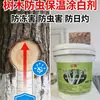 O líquido para caiar árvores frutíferas do Jardim Zhongmei e da Escola Municipal está pronto para uso na manutenção geral da paisagem.